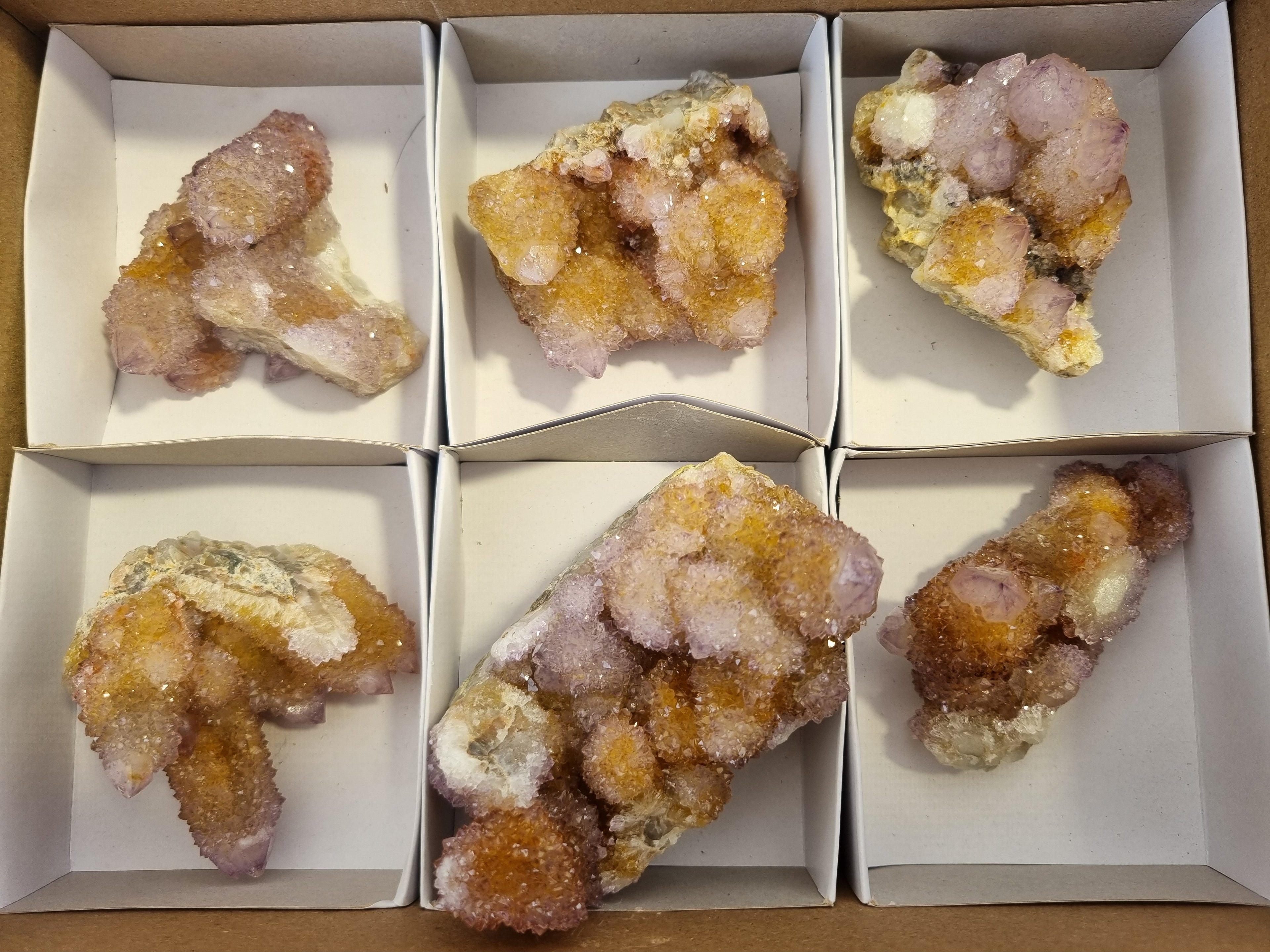 Natural Ametrine Spirit Quartz Clusters x 6 From Boekenhouthoek, South Africa - Toprock Gemstones and Minerals 