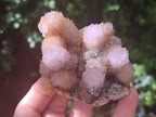 Natural Ametrine Spirit Quartz Clusters x 6 From Boekenhouthoek, South Africa - Toprock Gemstones and Minerals 