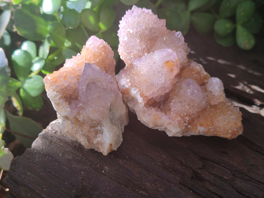 Natural Ametrine Spirit Quartz Clusters x 6 From Boekenhouthoek, South Africa - Toprock Gemstones and Minerals 
