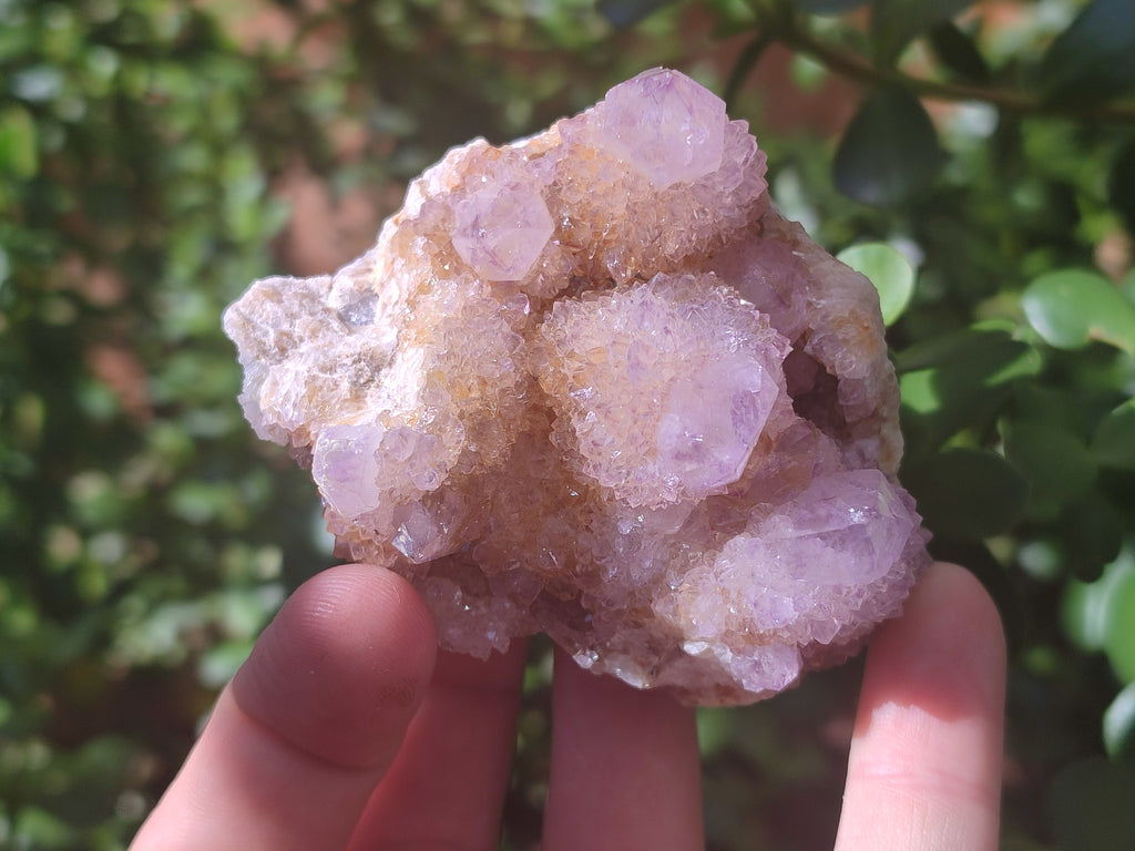 Natural Ametrine Spirit Quartz Clusters x 6 From Boekenhouthoek, South Africa - Toprock Gemstones and Minerals 