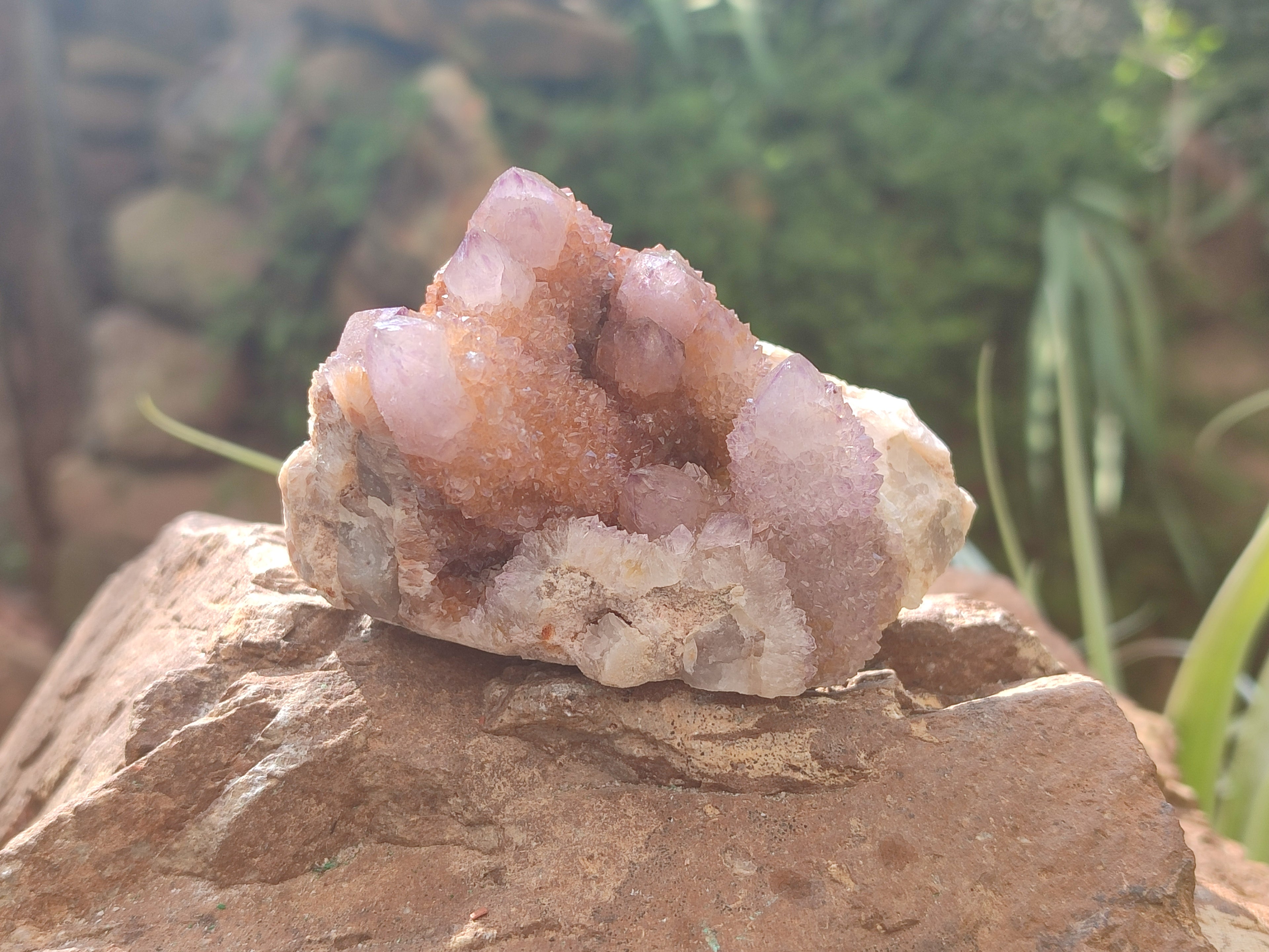 Natural Ametrine Spirit Quartz Clusters x 6 From Boekenhouthoek, South Africa - Toprock Gemstones and Minerals 