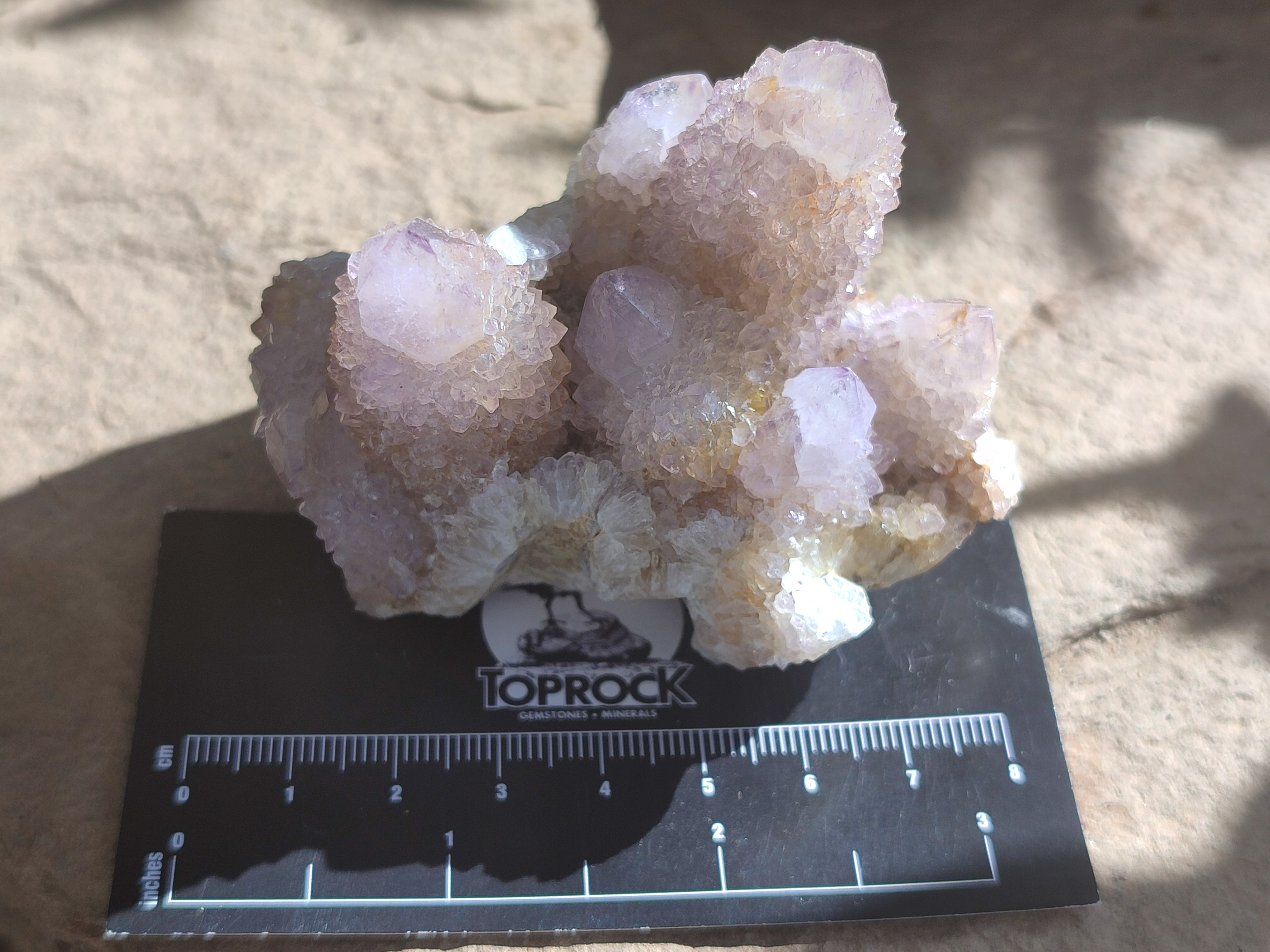 Natural Ametrine Spirit Quartz Clusters x 6 From Boekenhouthoek, South Africa - Toprock Gemstones and Minerals 