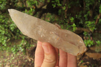 Natural Quartz Crystals x 6 From Mpika, Zambia - Toprock Gemstones and Minerals 