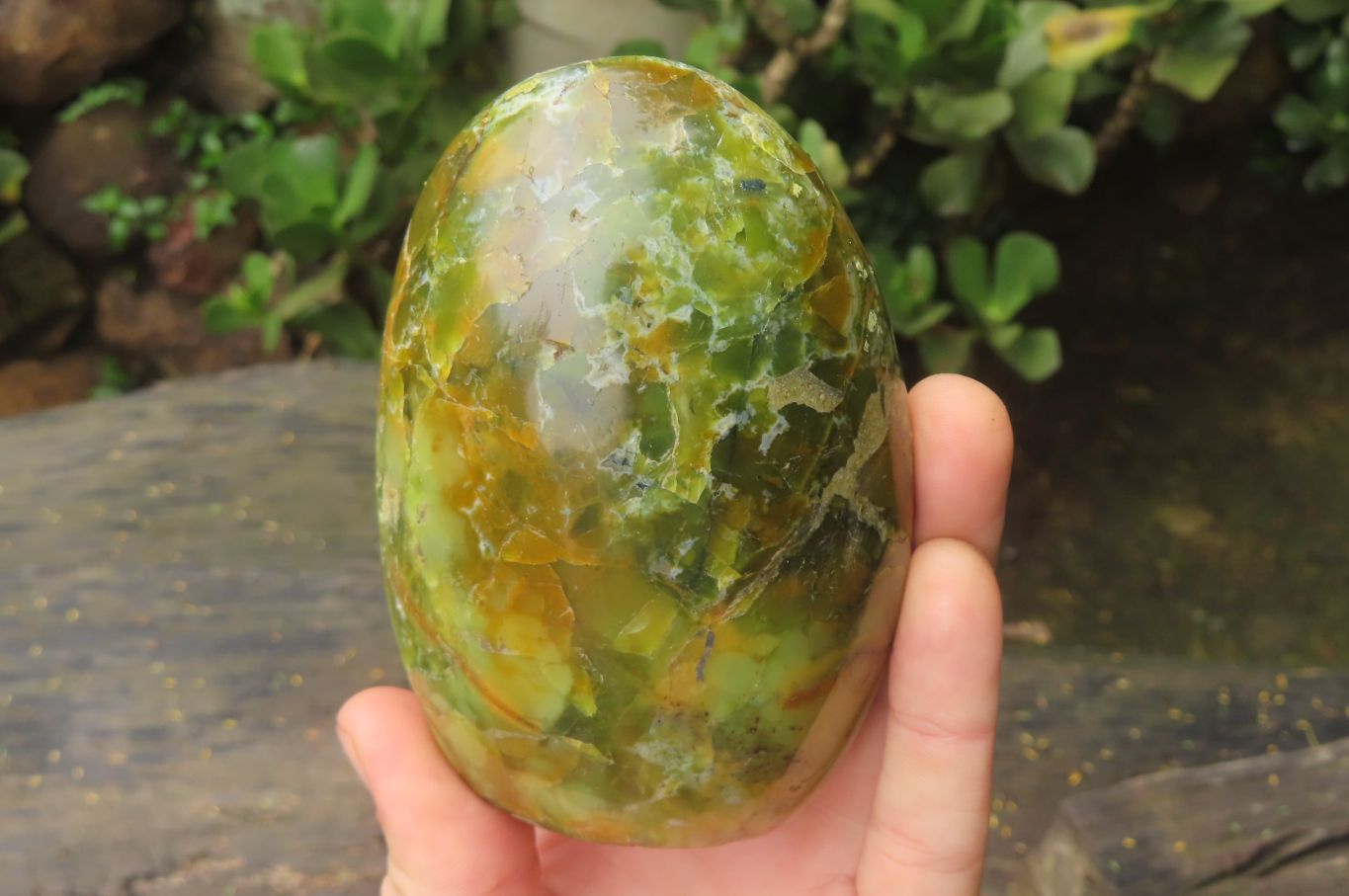 Polished Green Opal Standing Free Forms x 3 From Antsirabe, Madagascar - Toprock Gemstones and Minerals 