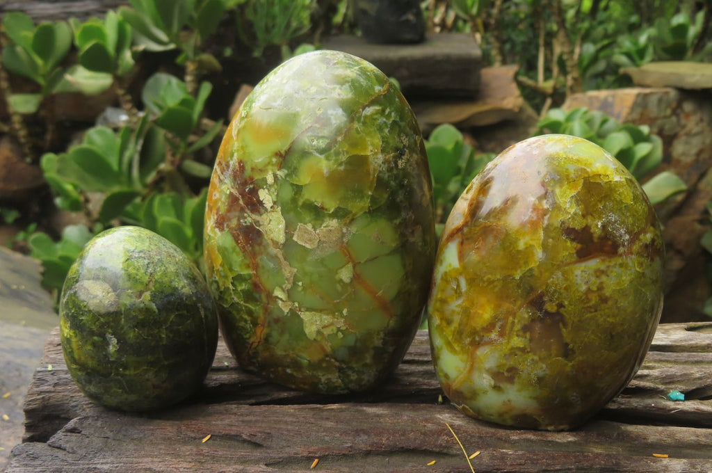 Polished Green Opal Standing Free Forms x 3 From Antsirabe, Madagascar - Toprock Gemstones and Minerals 