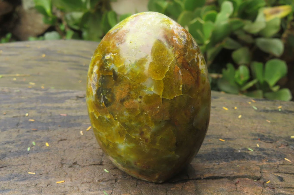 Polished Green Opal Standing Free Forms x 3 From Antsirabe, Madagascar - Toprock Gemstones and Minerals 