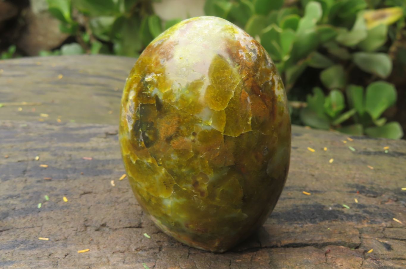 Polished Green Opal Standing Free Forms x 3 From Antsirabe, Madagascar - Toprock Gemstones and Minerals 