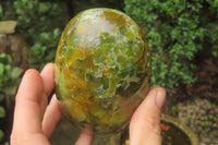 Polished Green Opal Standing Free Forms x 3 From Antsirabe, Madagascar - Toprock Gemstones and Minerals 