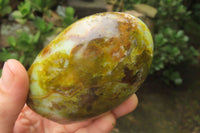 Polished Green Opal Standing Free Forms x 3 From Antsirabe, Madagascar - Toprock Gemstones and Minerals 