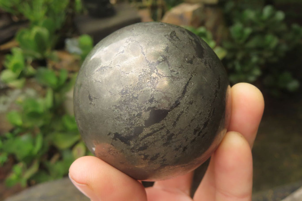 Polished Pharaoh Stone Spheres x 3  From Zimbabwe - Toprock Gemstones and Minerals 