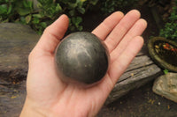 Polished Pharaoh Stone Spheres x 3  From Zimbabwe - Toprock Gemstones and Minerals 