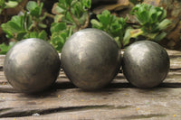 Polished Pharaoh Stone Spheres x 3  From Zimbabwe - Toprock Gemstones and Minerals 