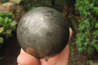 Polished Pharaoh Stone Spheres x 3  From Zimbabwe - Toprock Gemstones and Minerals 