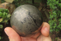 Polished Pharaoh Stone Spheres x 3  From Zimbabwe - Toprock Gemstones and Minerals 