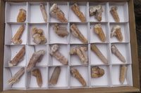 Natural Spirit Quartz Crystals x 24 From Boekenhouthoek, South Africa - Toprock Gemstones and Minerals 
