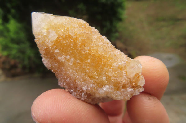 Natural Spirit Quartz Crystals x 24 From Boekenhouthoek, South Africa - Toprock Gemstones and Minerals 