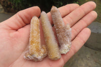 Natural Spirit Quartz Crystals x 24 From Boekenhouthoek, South Africa - Toprock Gemstones and Minerals 