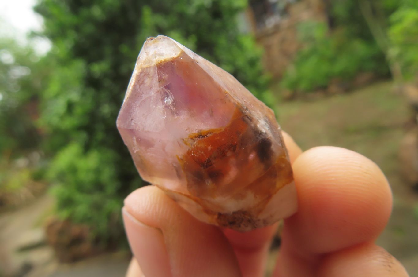Natural Zululand Amethyst Crystals x 20 From South Africa - Toprock Gemstones and Minerals 