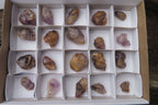 Natural Zululand Amethyst Crystals x 20 From South Africa - Toprock Gemstones and Minerals 