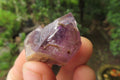 Natural Zululand Amethyst Crystals x 20 From South Africa - Toprock Gemstones and Minerals 