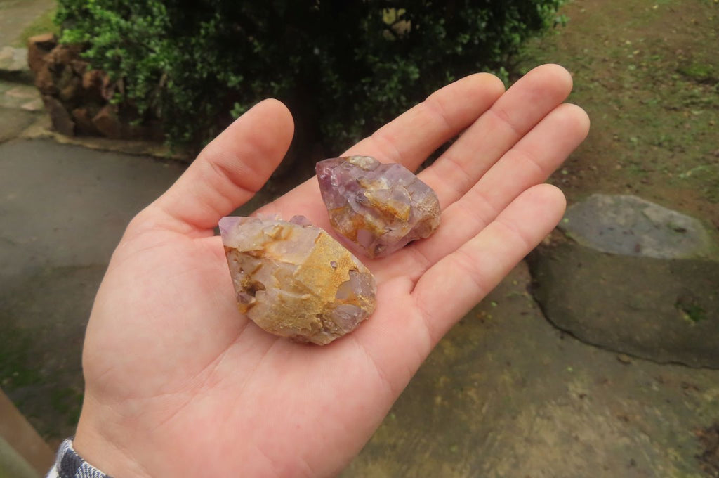 Natural Zululand Amethyst Crystals x 20 From South Africa - Toprock Gemstones and Minerals 