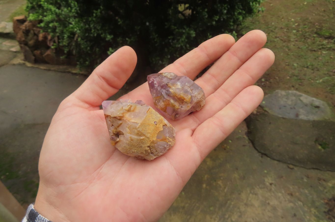 Natural Zululand Amethyst Crystals x 20 From South Africa - Toprock Gemstones and Minerals 
