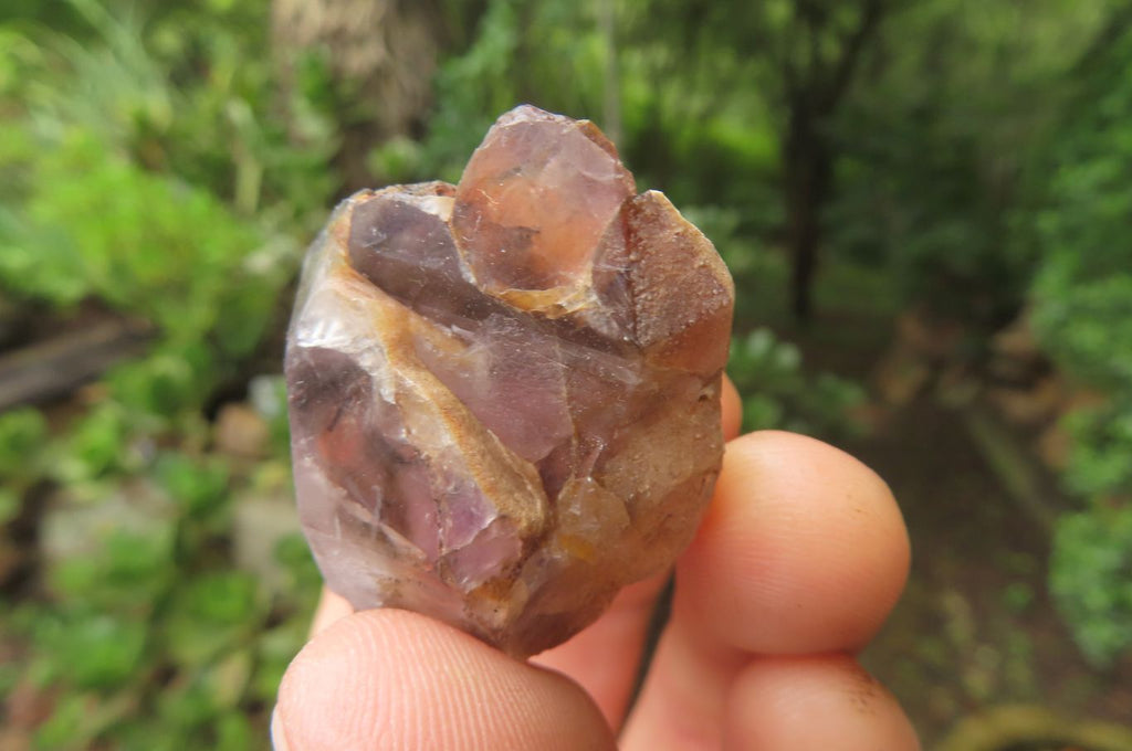 Natural Zululand Amethyst Crystals x 20 From South Africa - Toprock Gemstones and Minerals 