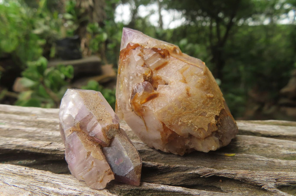 Natural Zululand Amethyst Crystals x 20 From South Africa - Toprock Gemstones and Minerals 