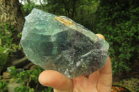 Natural Watermelon Fluorite Cobbed Specimens x 5 From Uis, Namibia - Toprock Gemstones and Minerals 