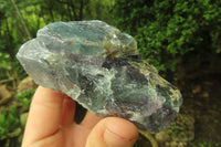 Natural Watermelon Fluorite Cobbed Specimens x 5 From Uis, Namibia - Toprock Gemstones and Minerals 
