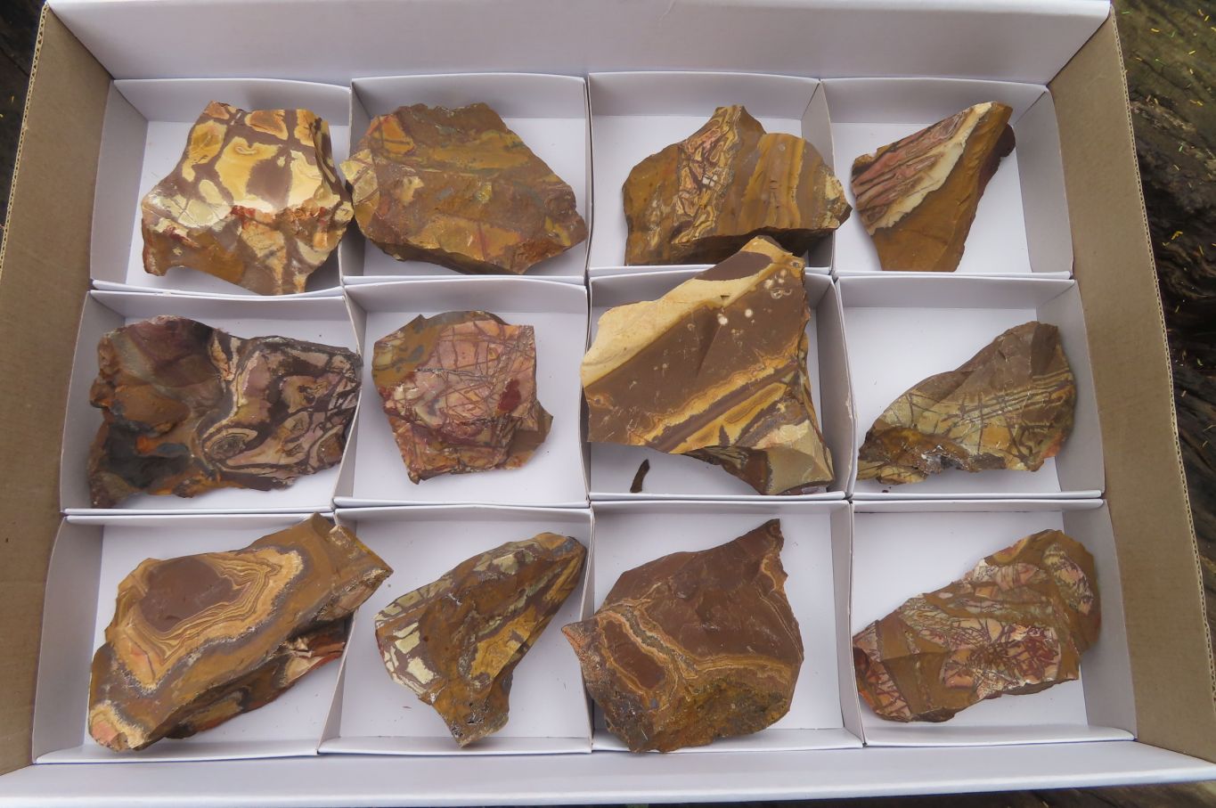 Natural Nguni Jasper Cobbed Specimens x 12 From Prieska, South Africa - Toprock Gemstones and Minerals 