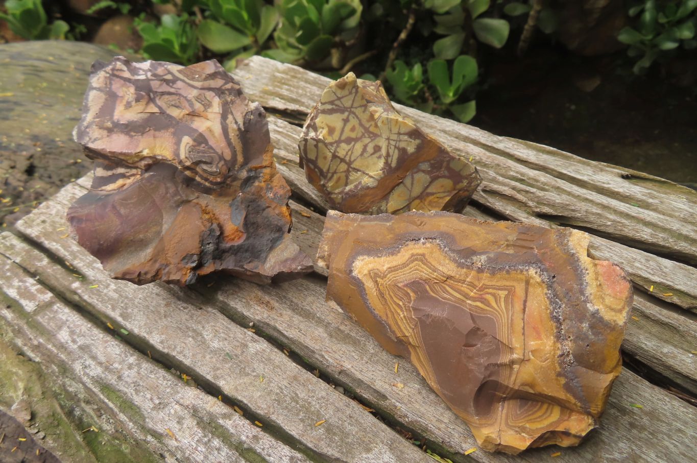 Natural Nguni Jasper Cobbed Specimens x 12 From Prieska, South Africa - Toprock Gemstones and Minerals 