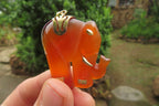 Polished Carnelian Agate Elephant Pendant with Gold Bail and Trim - Sold per Item - From Brazil - Toprock Gemstones and Minerals 