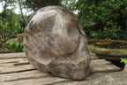 Hand Made Smokey Quartz Skull Carving x 1 From Madagascar - Toprock Gemstones and Minerals 
