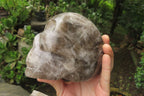 Hand Made Smokey Quartz Skull Carving x 1 From Madagascar - Toprock Gemstones and Minerals 