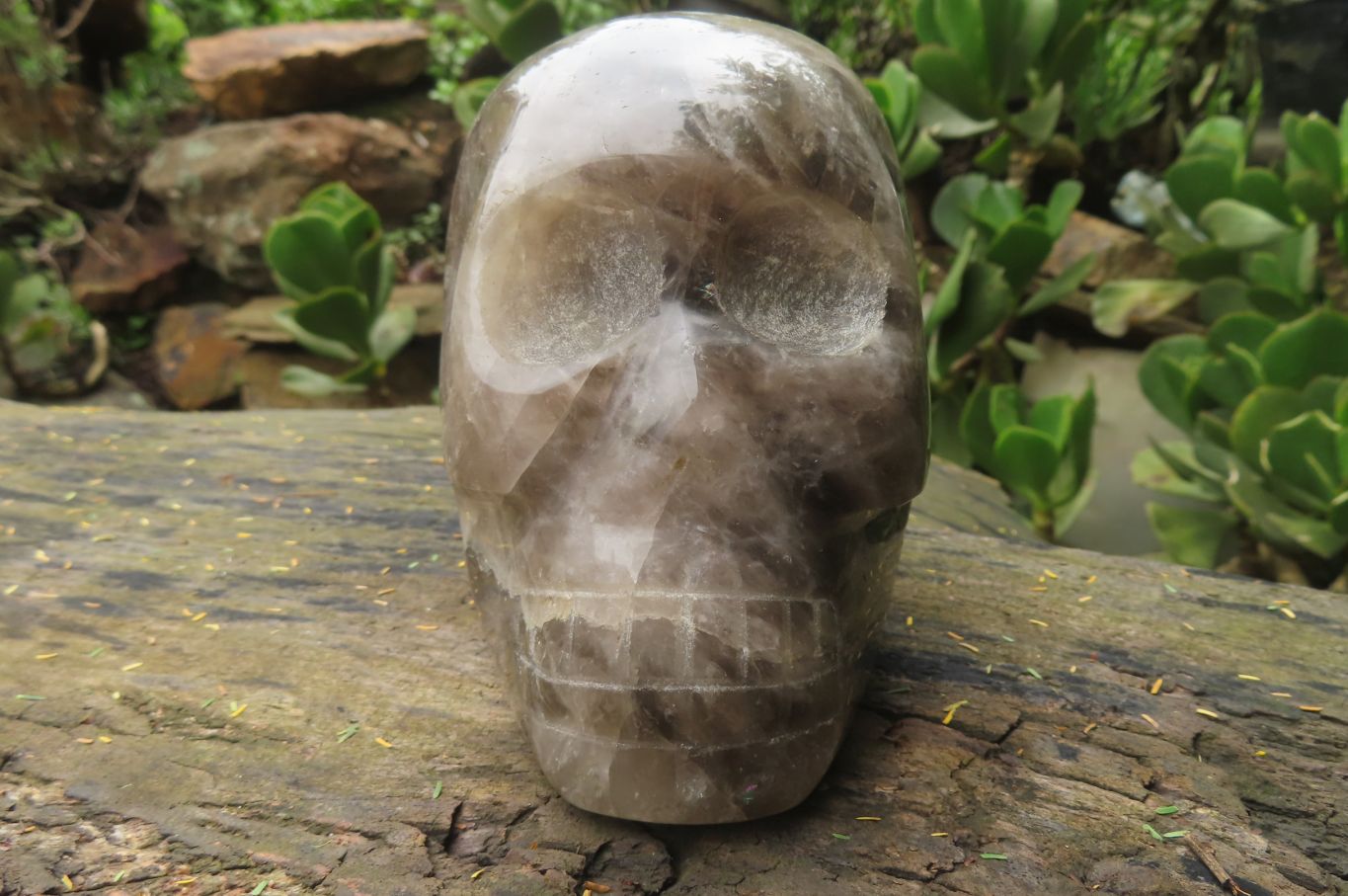 Hand Made Smokey Quartz Skull Carving x 1 From Madagascar - Toprock Gemstones and Minerals 