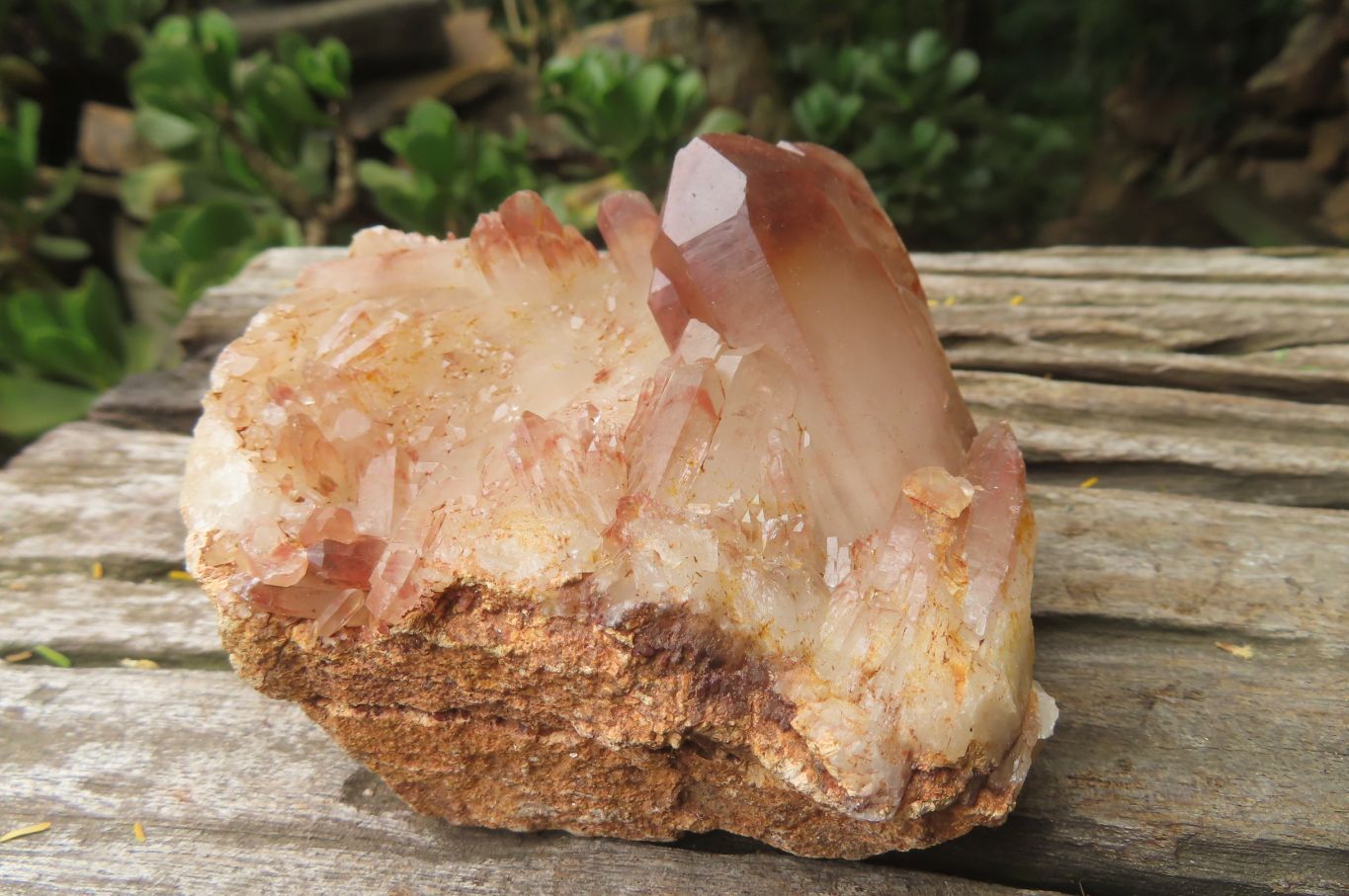 Natural Red Hematoid Quartz Clusters x 6 From Karoi, Zimbabwe - Toprock Gemstones and Minerals 