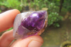 Natural Zululand Amethyst Crystals x 12 From South Africa - Toprock Gemstones and Minerals 