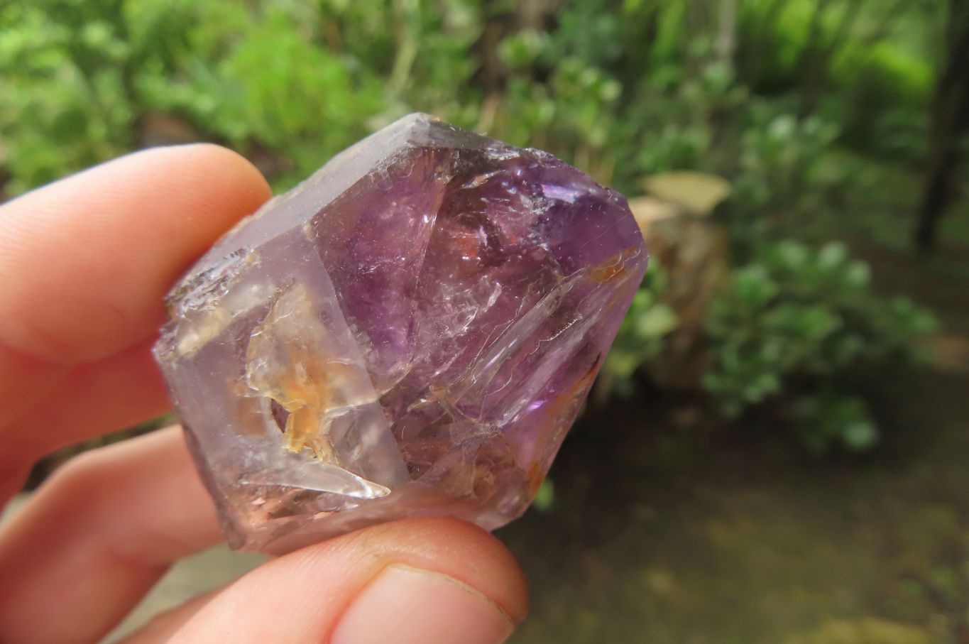 Natural Zululand Amethyst Crystals x 12 From South Africa - Toprock Gemstones and Minerals 