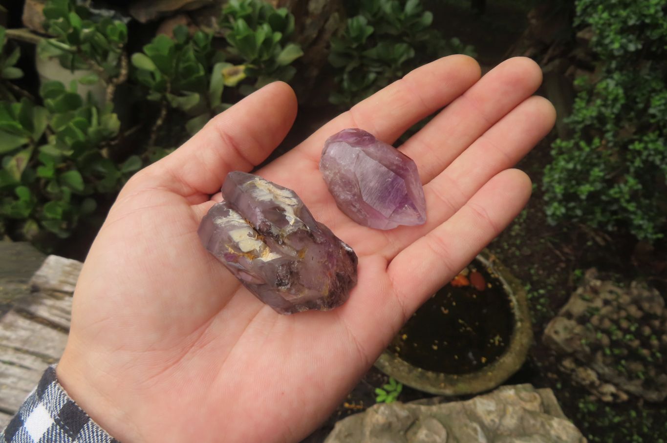 Natural Zululand Amethyst Crystals x 12 From South Africa - Toprock Gemstones and Minerals 
