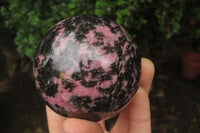 Polished Rhodonite Spheres x 3 From Ambindavato, Madagascar - Toprock Gemstones and Minerals 