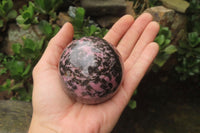 Polished Rhodonite Spheres x 3 From Ambindavato, Madagascar - Toprock Gemstones and Minerals 
