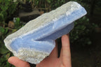 Natural Blue Lace Agate Geode Specimens x 2 From Malawi - Toprock Gemstones and Minerals 
