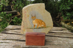 Hand Made Caracal Decoupage Stone Slabs x 6 From Southern Africa - Toprock Gemstones and Minerals 
