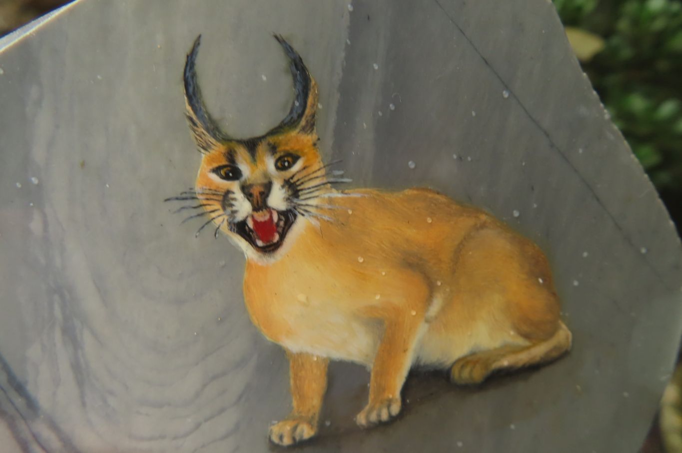 Hand Made Caracal Decoupage Stone Slabs x 6 From Southern Africa - Toprock Gemstones and Minerals 