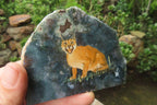 Hand Made Caracal Decoupage Stone Slabs x 6 From Southern Africa - Toprock Gemstones and Minerals 
