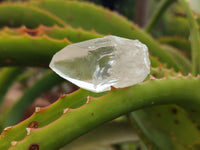 Natural Quartz Crystals x 35 from Mpika, Zambia - Toprock Gemstones and Minerals 
