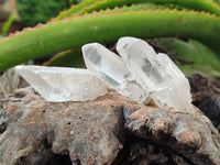 Natural Quartz Crystals x 35 from Mpika, Zambia - Toprock Gemstones and Minerals 