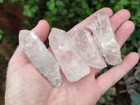 Natural Quartz Crystals x 35 from Mpika, Zambia - Toprock Gemstones and Minerals 