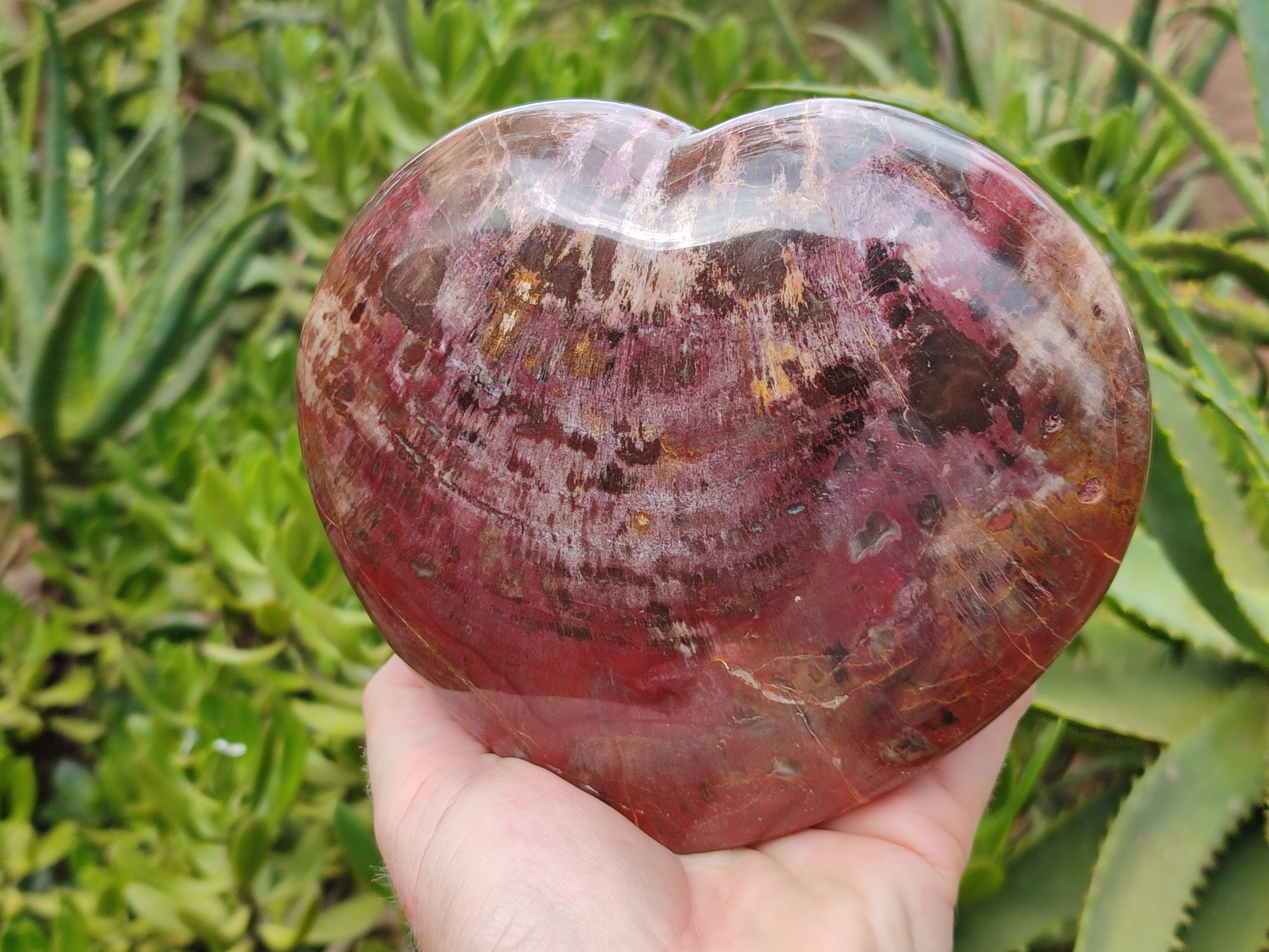 Polished Podocarpus Petrified Wood Heart x 1 From Mahajanga, Madagascar - Toprock Gemstones and Minerals 